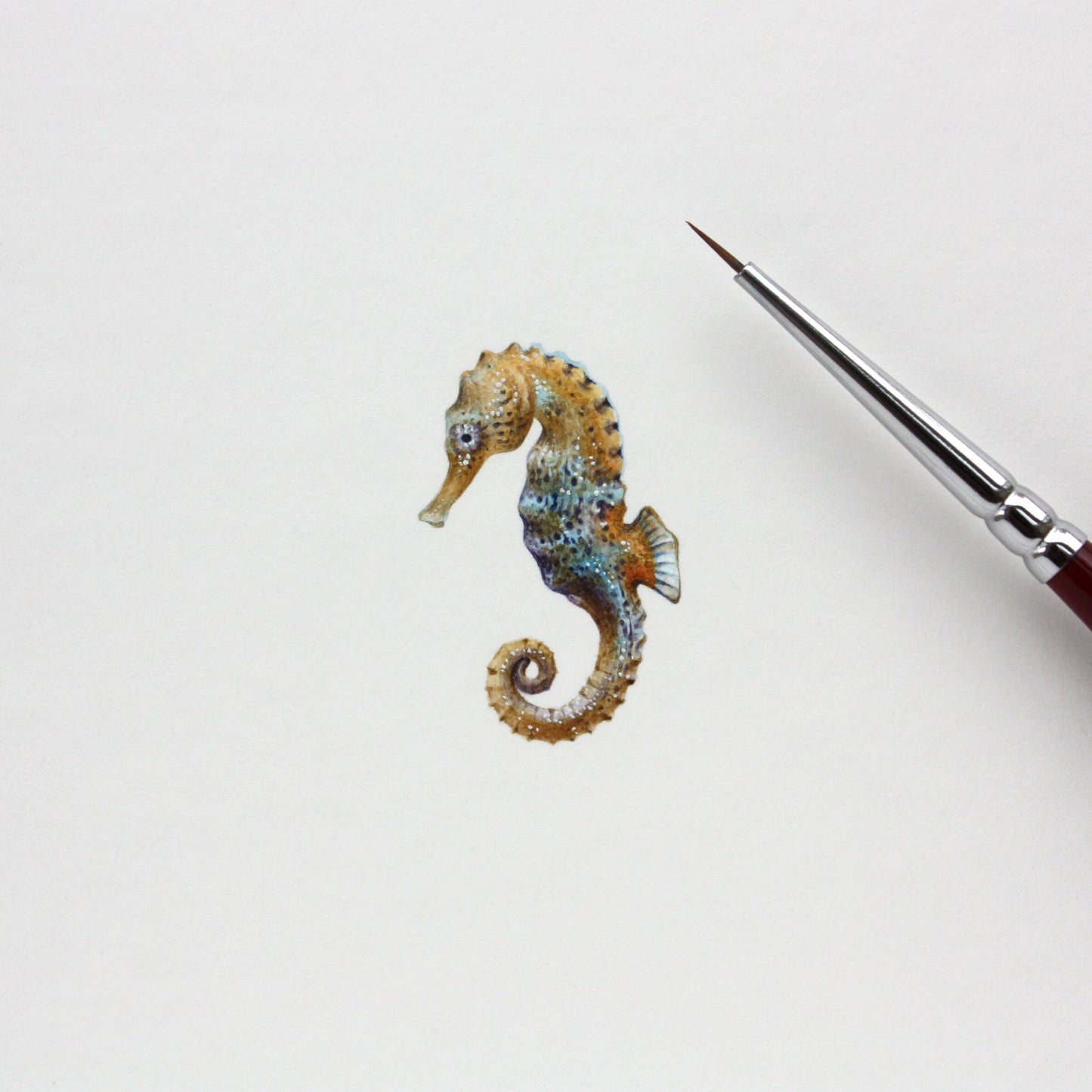 Seahorse. Print from original watercolor miniature painting