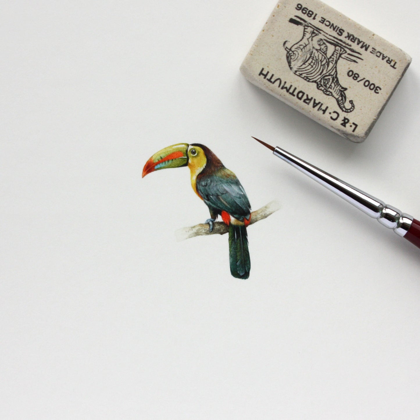 Keel-billed Toucan. Print from original watercolor miniature painting