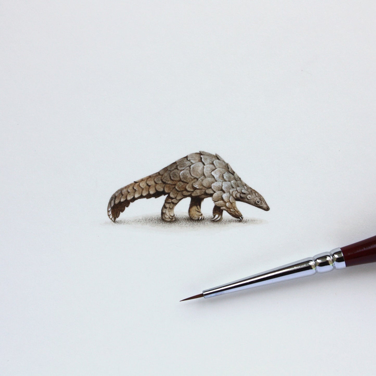 Pangolin. Print from original watercolor miniature painting