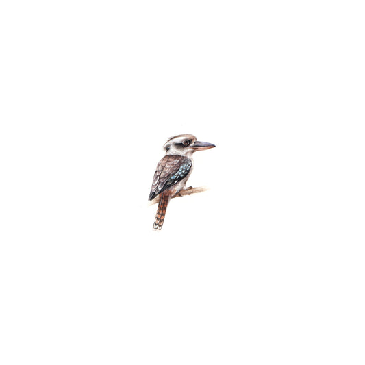 Laughing Kookaburra. Print from original watercolor miniature painting