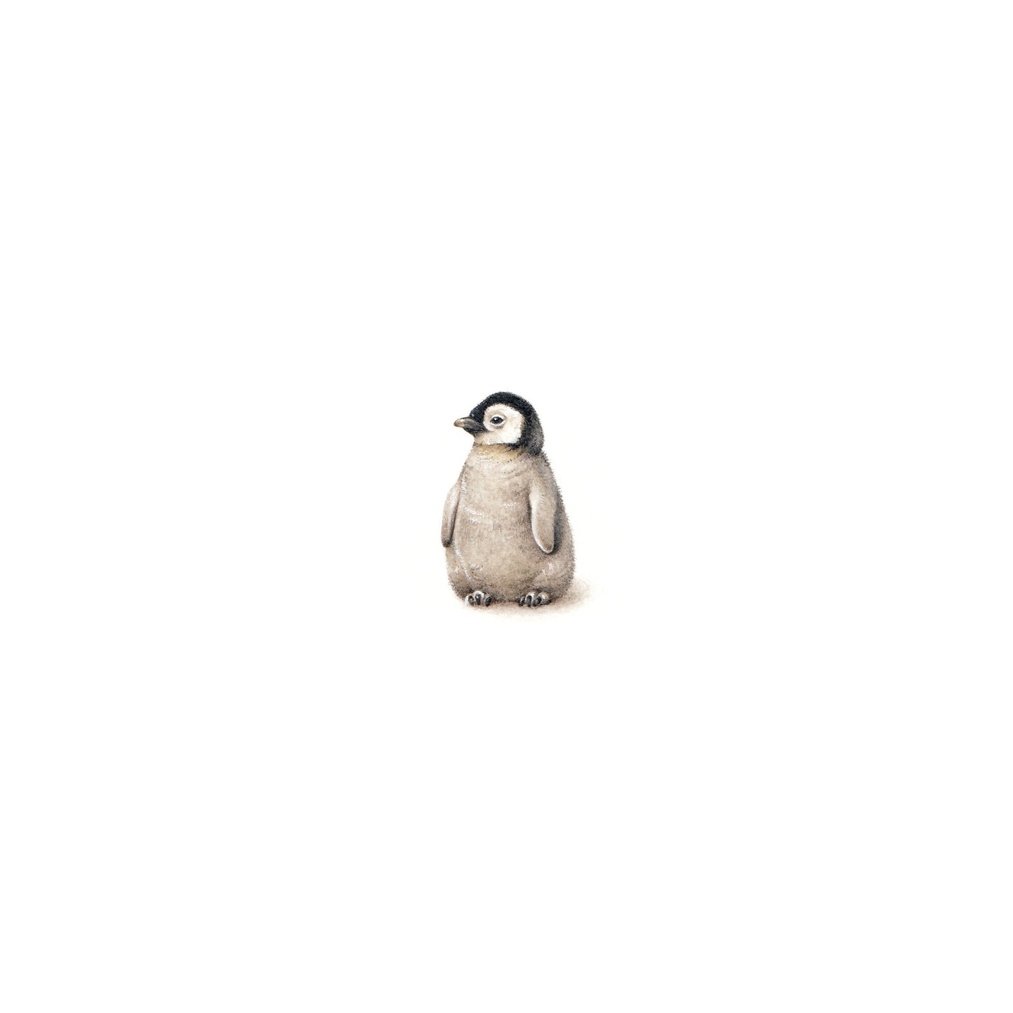 Baby Penguin. Print from original watercolor miniature painting