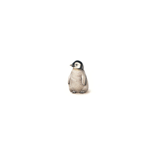 PRINT of watercolor miniature painting. Baby Penguin
