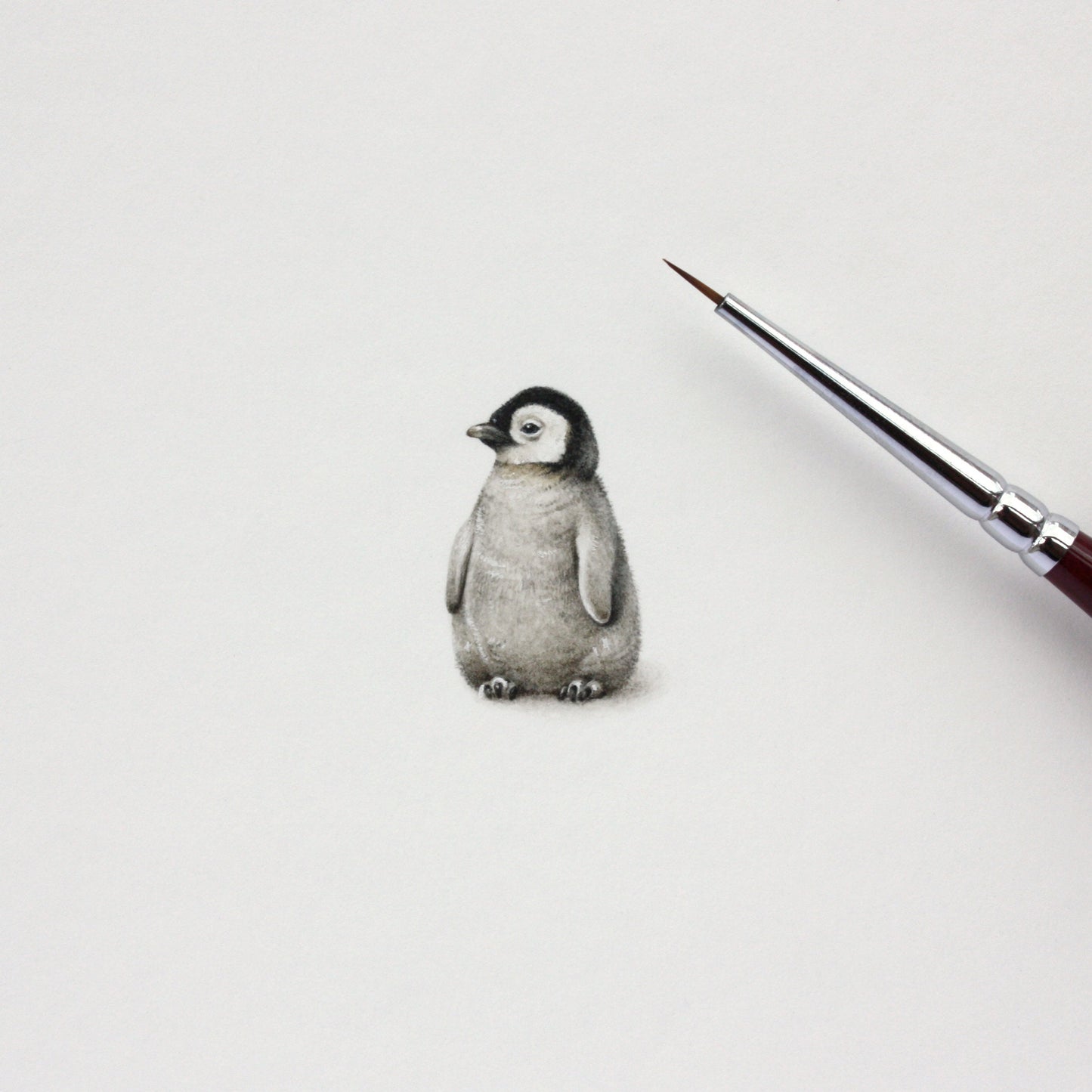 Baby Penguin. Print from original watercolor miniature painting