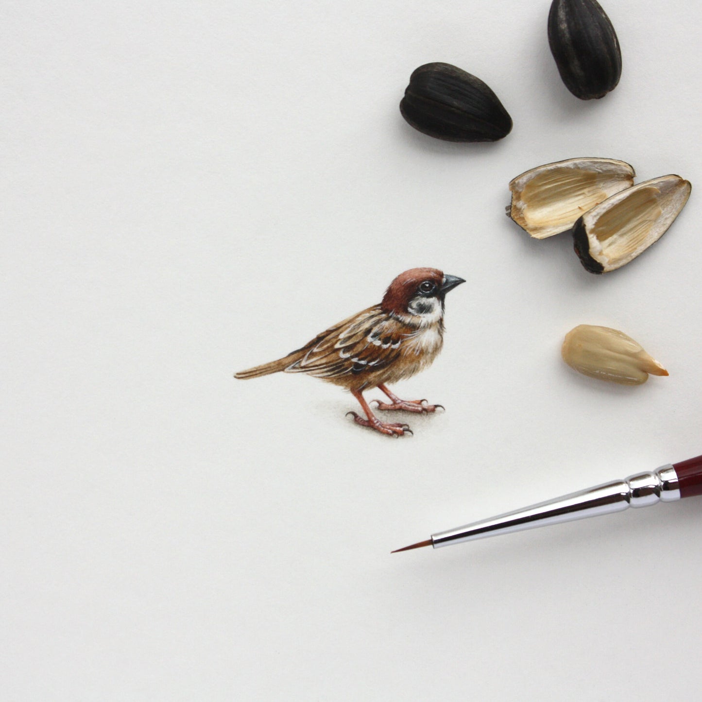 Tree Sparrow. Print from original watercolor miniature painting