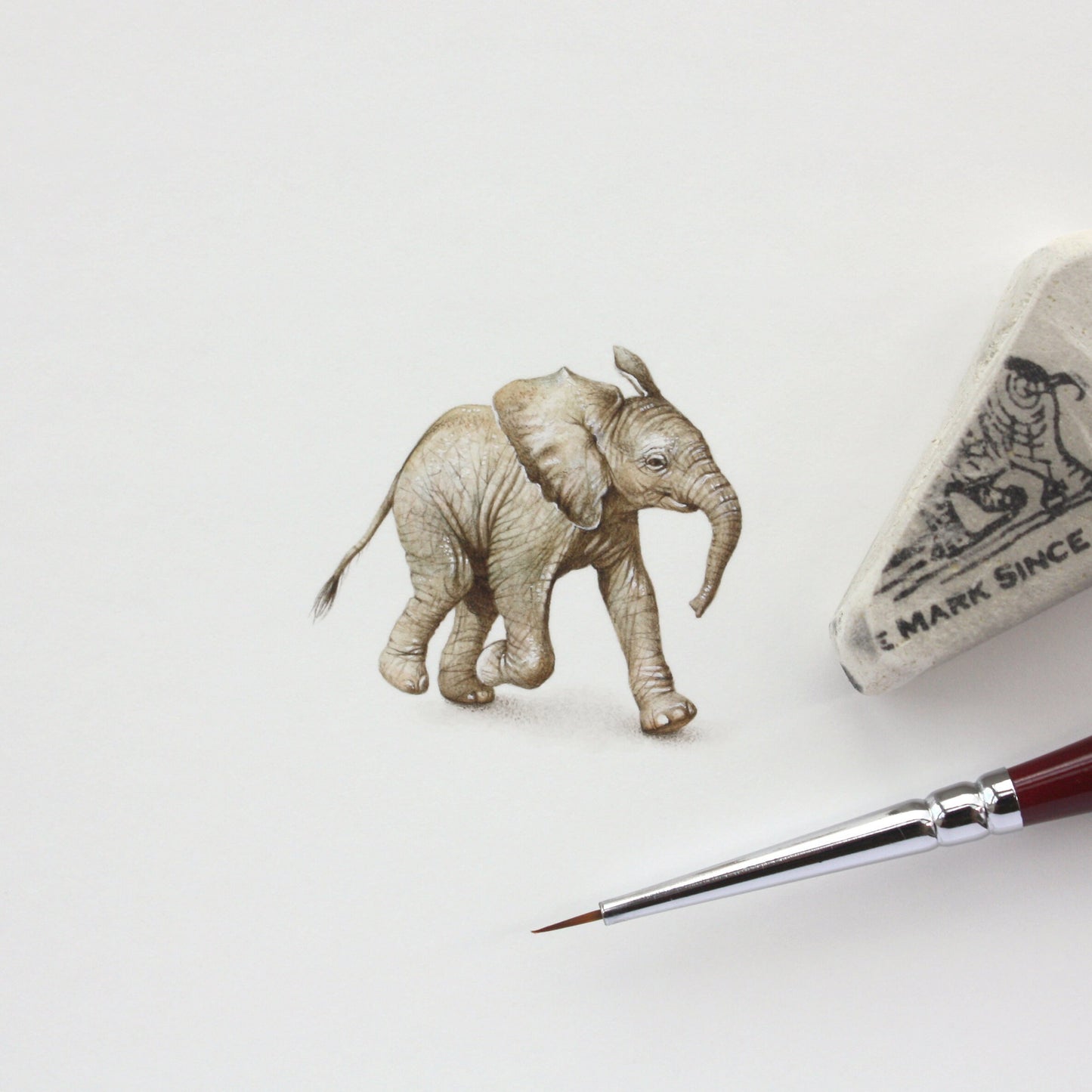 Baby Elephant. Print from original watercolor miniature painting