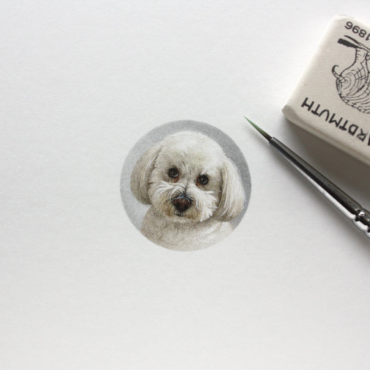 Custom pet portrait. Original watercolor miniature painting