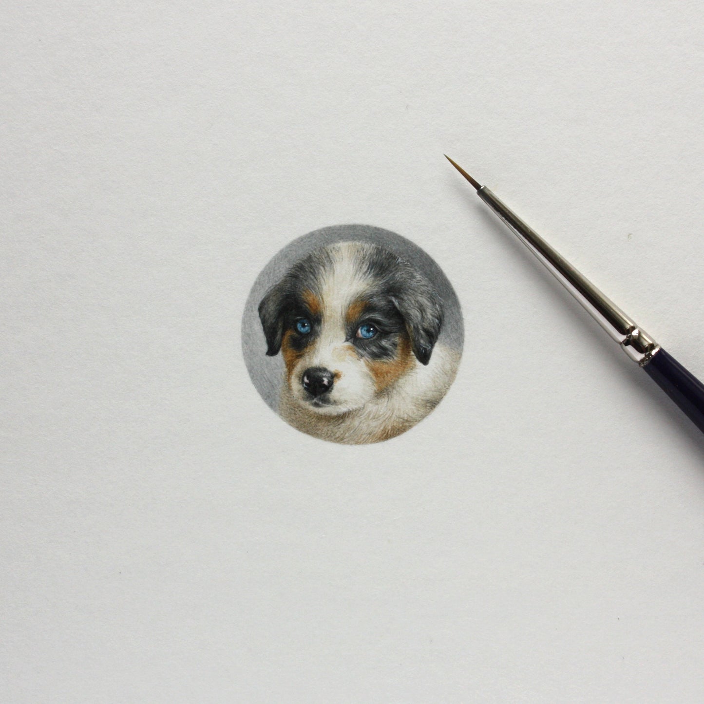 Custom pet portrait. Original watercolor miniature painting