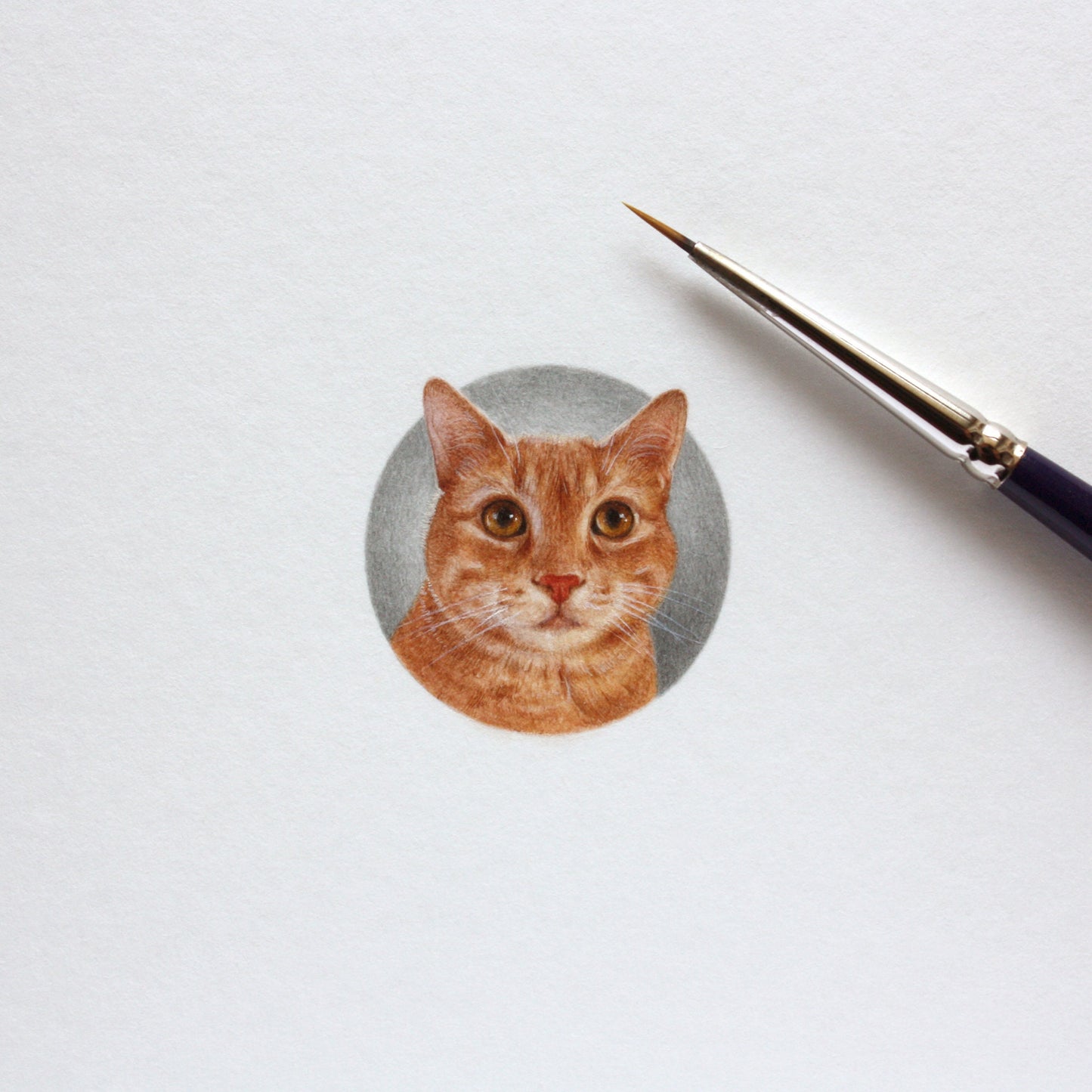 Custom pet portrait. Original watercolor miniature painting