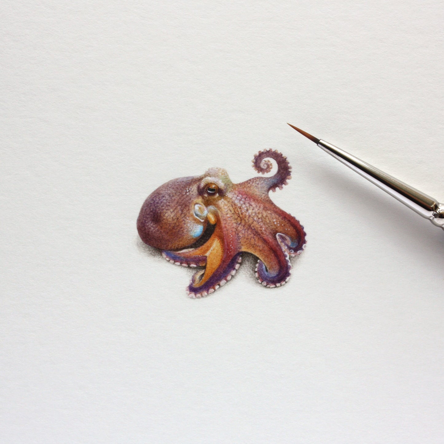 Coconut Octopus. Print from original watercolor miniature painting