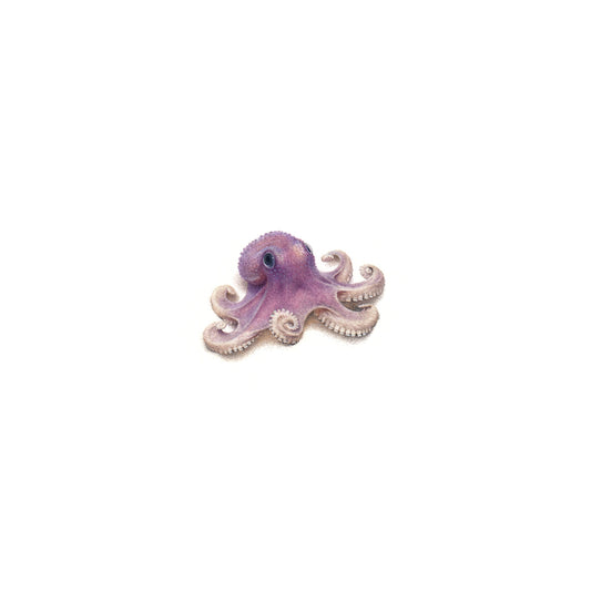 PRINT of watercolor miniature painting. Purple Octopus