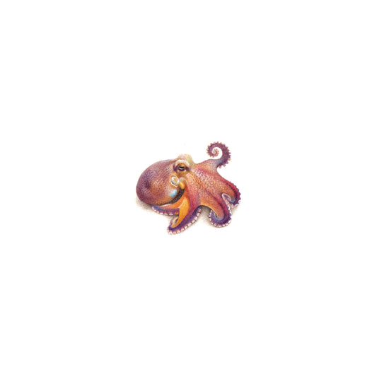 PRINT of watercolor miniature painting. Coconut Octopus