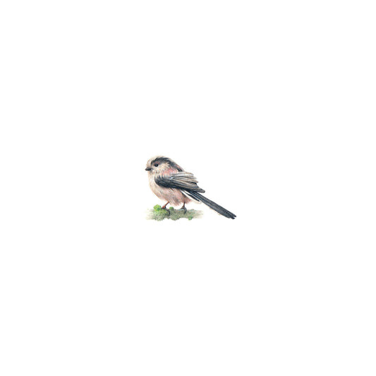 PRINT of watercolor miniature painting. Long-tailed Tit