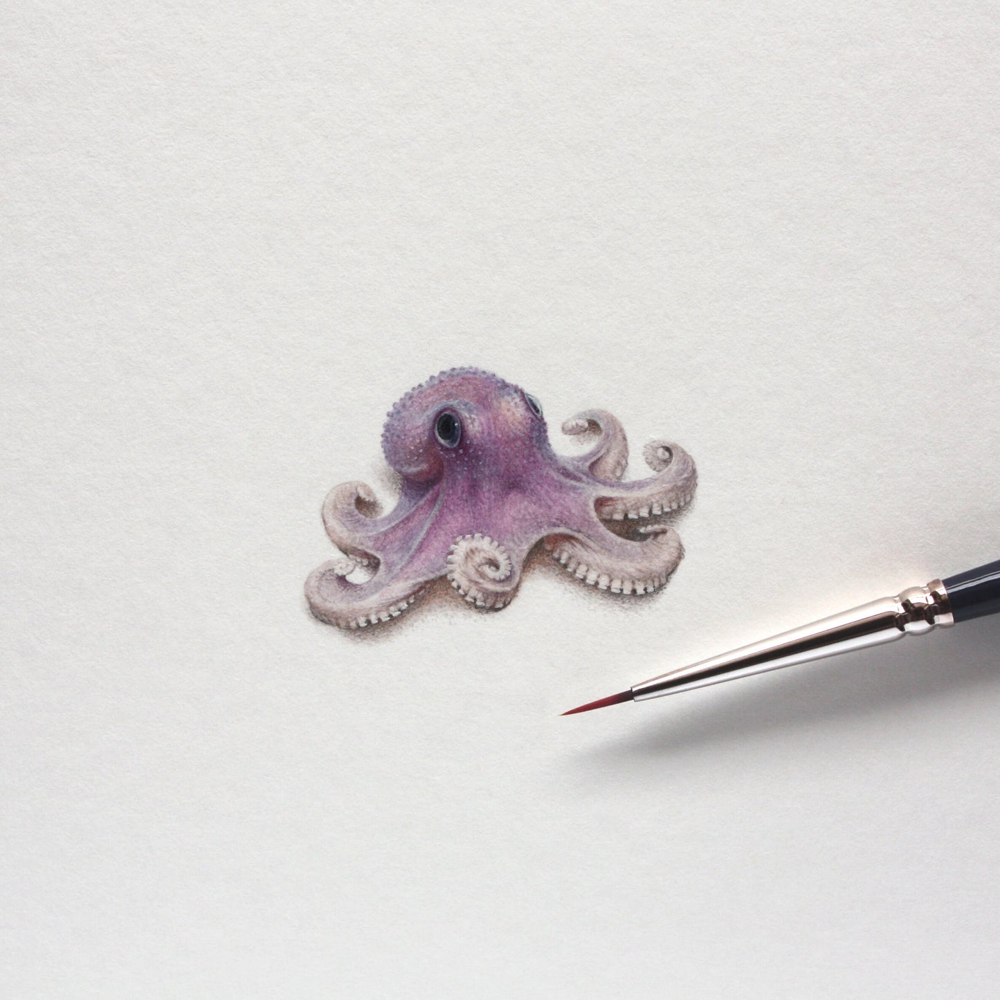 Purple Octopus. Print from original watercolor miniature painting