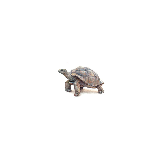PRINT of watercolor miniature painting. Giant Galapagos tortoise