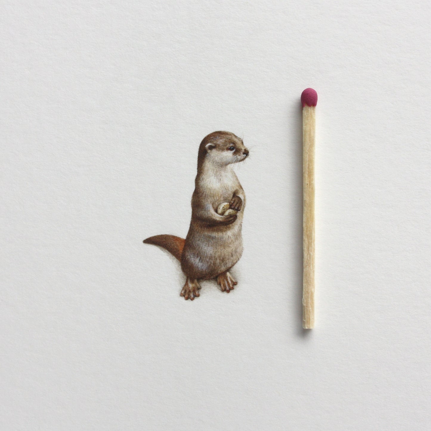 Otter. Print from original watercolor miniature painting