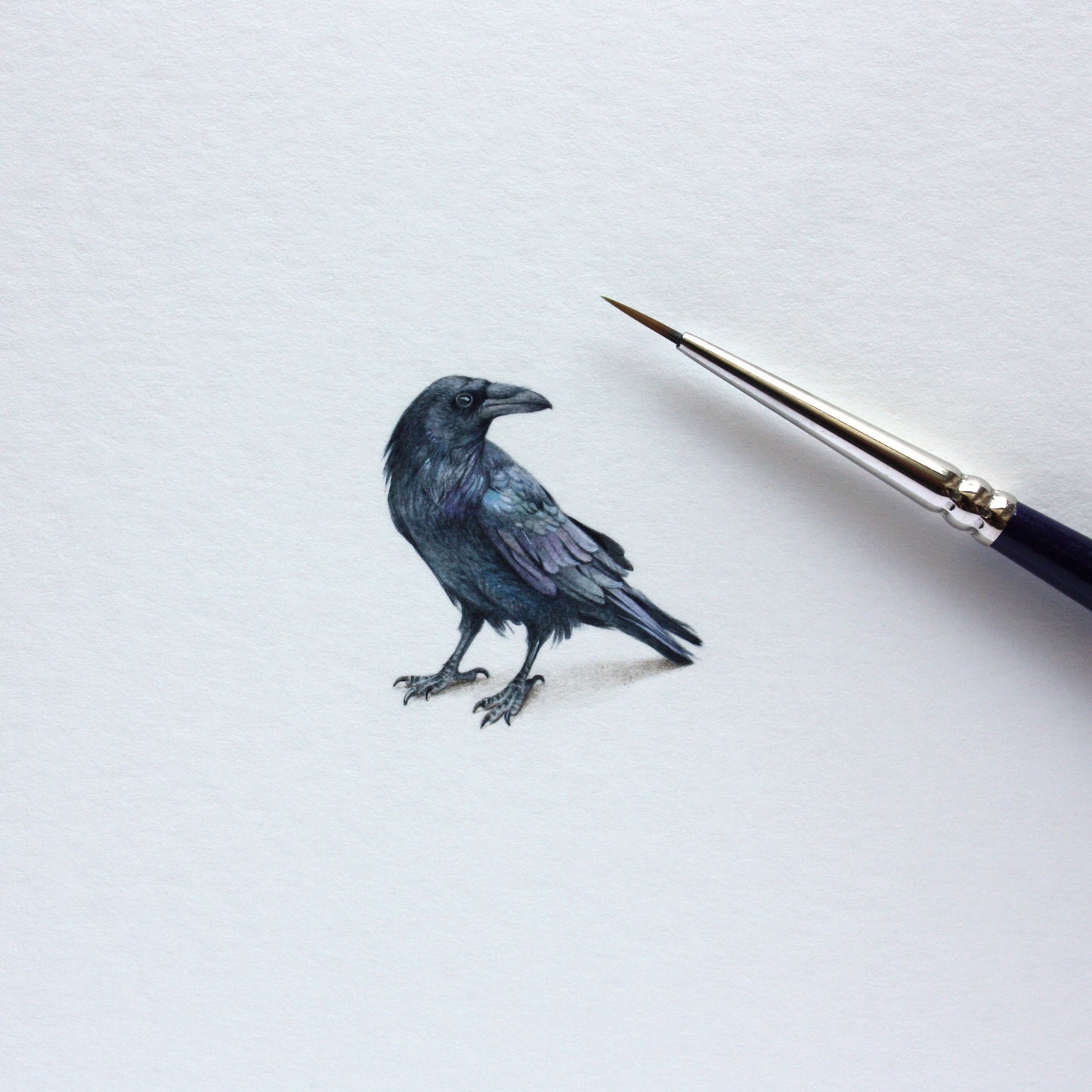 Raven. Print from original watercolor miniature painting