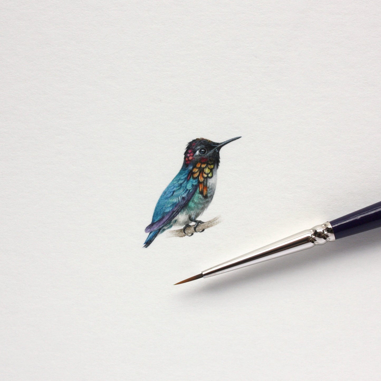 Bee hummingbird. Print from original watercolor miniature painting