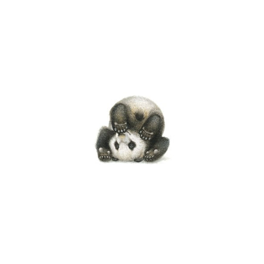 Giant panda cub. Print from original watercolor miniature painting